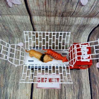 Xe chở thú hoang dã loại to