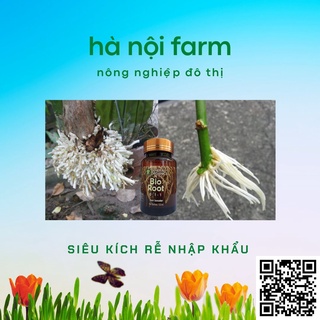 Bio Root MỸ kích rễ cực mạnh - 100ml