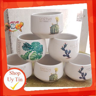 Chậu sứ cúp lớn in hình🔥 |FREESHIP 🌺 SIÊU XINH | LỖI 1 ĐỔI 1