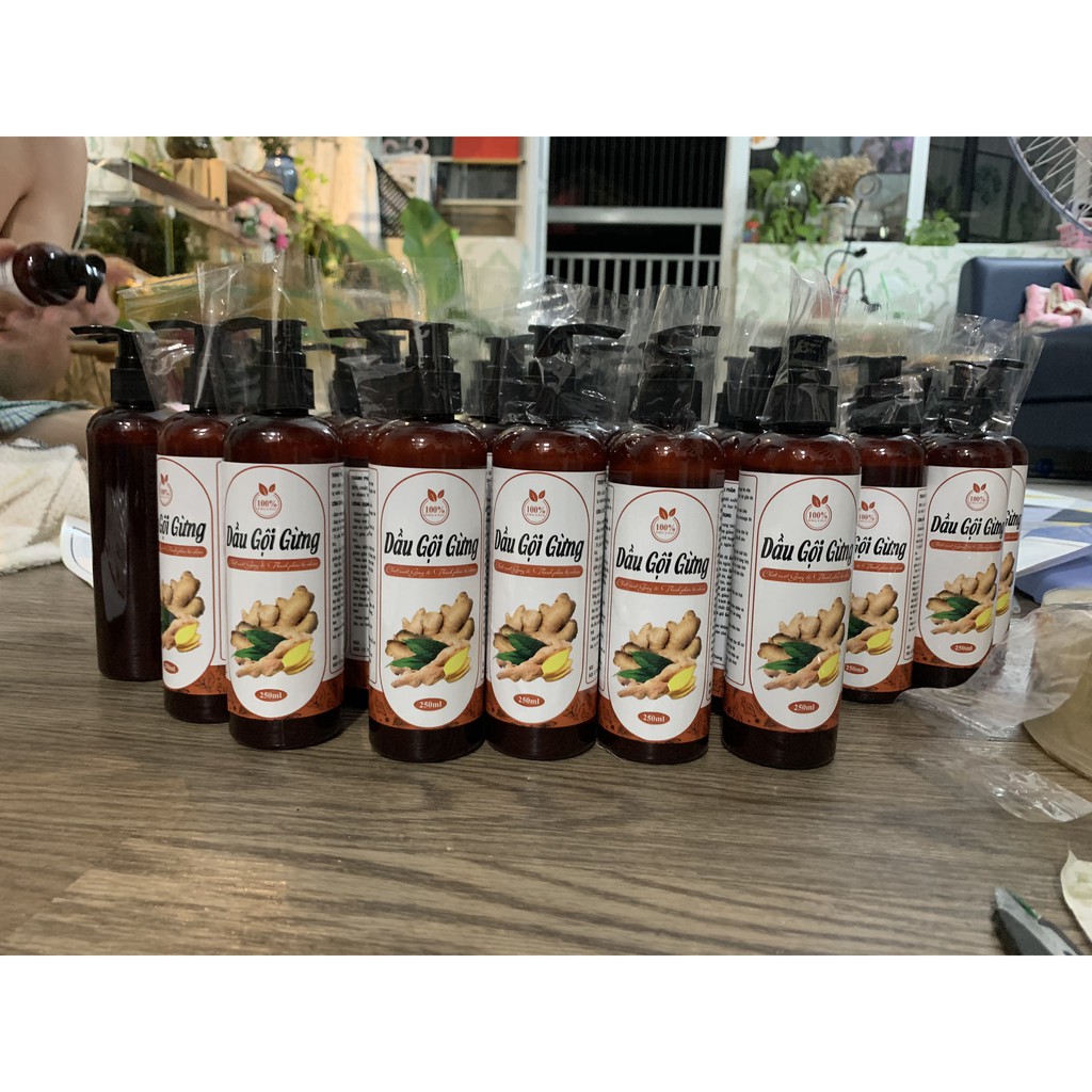 Dầu gội gừng tươi thảo mộc, Sạch Gàu giảm rụng tóc, sản phẩm Handmade, chai 500ml - Goss Việt | BigBuy360 - bigbuy360.vn