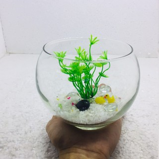Bể cá mini để bàn tròn - Tặng phụ kiện (T-01)