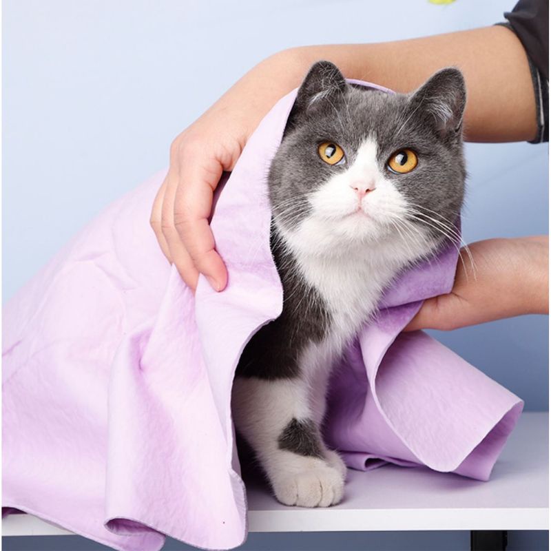 Khăn tắm cho Chó Mèo Thú Cưng CLEAN CHAM Size 43cm x 32cm Siêu thấm hút Mềm mại Dẻo dai Nhiều công dụng