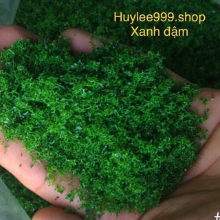 100g Rêu xanh trang trí chậu cây Bonsai