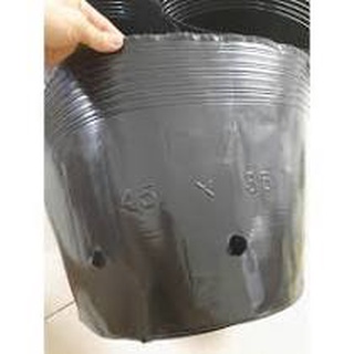 TÚI BẦU ĐEN TRÒN ƯƠM CÂY SIZE 13X15 ( 1KG)  - TÚI DẺO BỀN, TÁI SỬ DỤNG NHIỀU LẦN