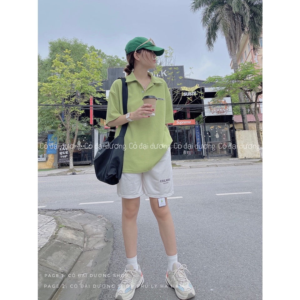 Áo Thun Polo Nam Nữ  Form Rộng Tổ Ong Logo Essen Vải Dày Mịn Thoáng Mát Thiết Kế Thời Trang Kiểu Dáng Năng Động