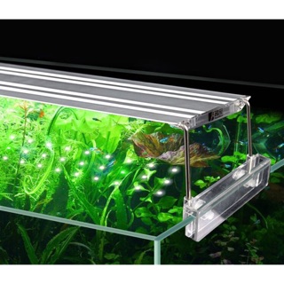 Đèn thuỷ sinh Aquablue