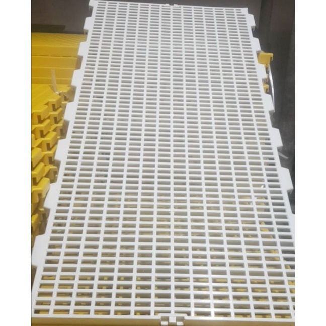 Combo 20 sàn lót chuồng 100x50 cm