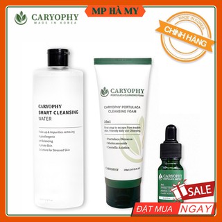 Bộ 3 sản phẩm làm sạch mọi bụi bẩn giảm mụn và tẩy da chết dịu nhẹ Caryophy (Tẩy trang 300ml & SRM 150ml & Serum 10ml)