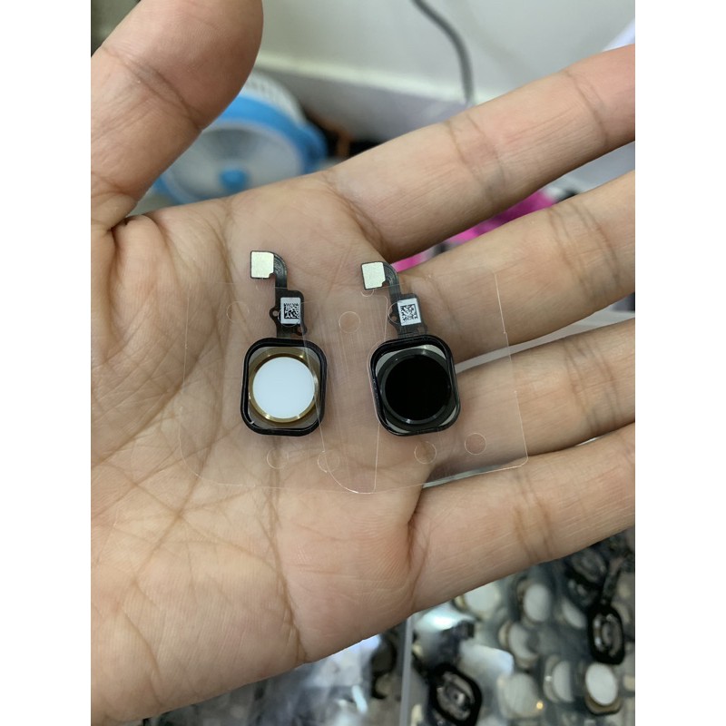 Home 6G/6P mới - 1 cái