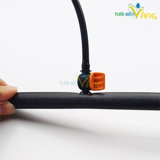 Combo 5 van khởi thủy 6mm