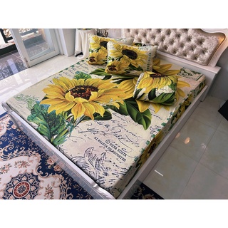 Bộ drap thun lạnh ý 5D cao cấp
