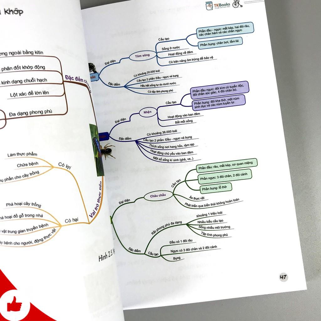 Sách - All In One - Trung Học Cơ Sở - Toán, Anh, Hóa, Sinh (combo, lẻ tùy chọn) | BigBuy360 - bigbuy360.vn