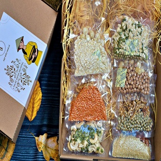 Set sữa hạt "7 ngày dinh dưỡng" - 10 loại hạt làm sữa dùng trong 7 ngày