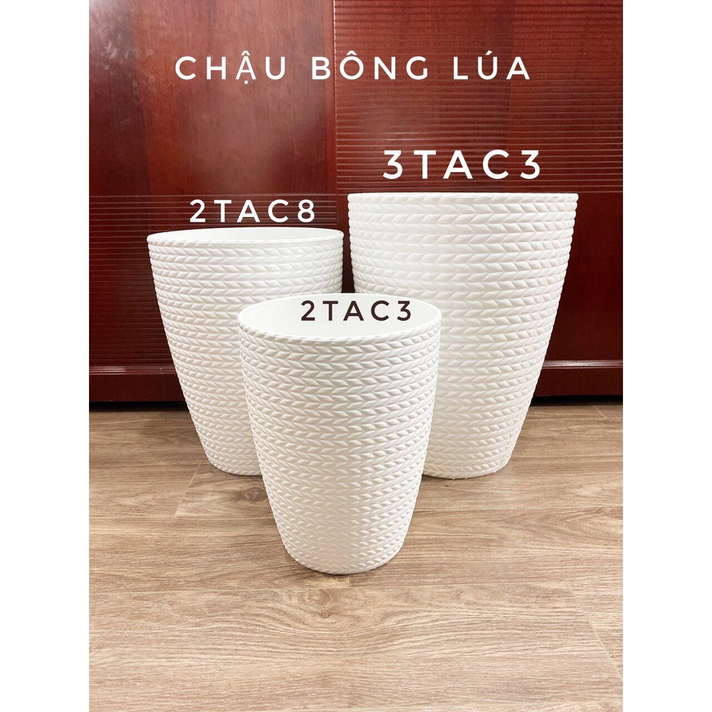 33x41cm_Chậu nhựa bông lúa trắng cao cấp dày đẹp trồng hoa, cây cảnh size 3 to nhất