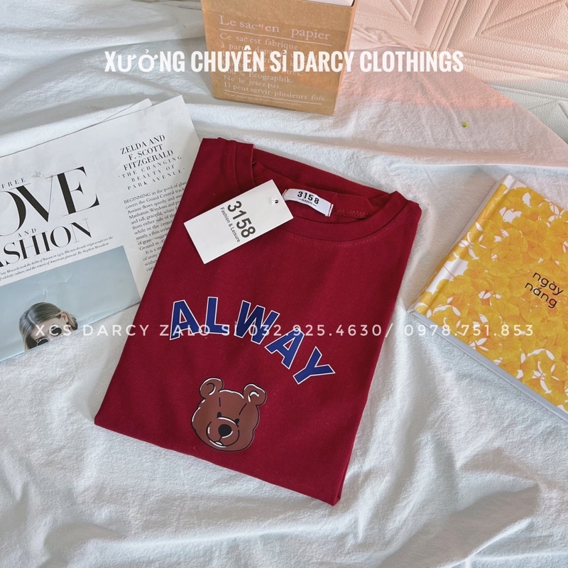 Áo thun 3158 ✨ FREESHIP ✨ áo thun Gấu alway dễ thương áo phông cotton nam nữ