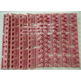 Cao su phím đàn Organ yamaha ( 1 Octave)