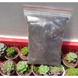 Đất trồng sen đá pha sẵn 500gram