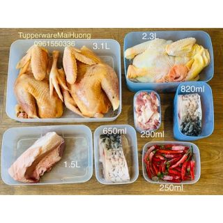 Tupperware - Bán lẻ hộp trữ đông đủ size