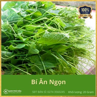 Hạt Giống Bí Ăn Ngọn SGX 031 -20g/Gói - Thu Hoạch Quanh Năm, Siêu Đọt, Cọng Xanh Tươi, Ăn Ngon, Dòn, Dễ Nẩy Mầm