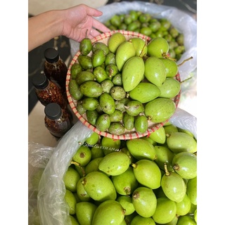 [HOẢ TỐC HÀ NỘI] XOÀI, CÓC BAO TỬ SIÊU NGON
