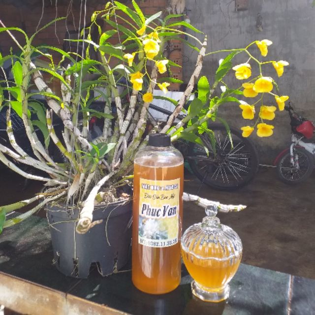 Mật ong hoa cà phê daklak (500ml)