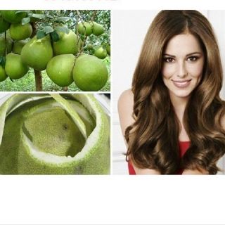 Hấp dầu Grapefruit collagen repair essence 500ml kích thích mọc tóc