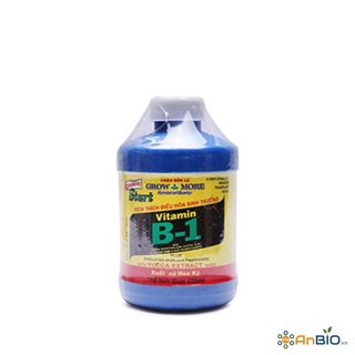 Phân bón chuyên dùng cho Lan Vitamin B1 Mỹ