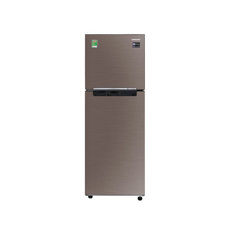 Tủ lạnh Samsung RT22M4040DX/SV Inverter 236 lít