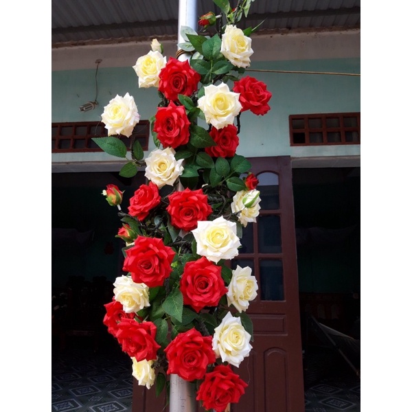Dây hồng leo giả dây leo tường decor trang trí