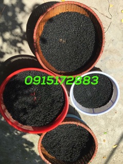 BỘT NGŨ CỐC 9 LOẠI HẠT NHÀ LÀM
