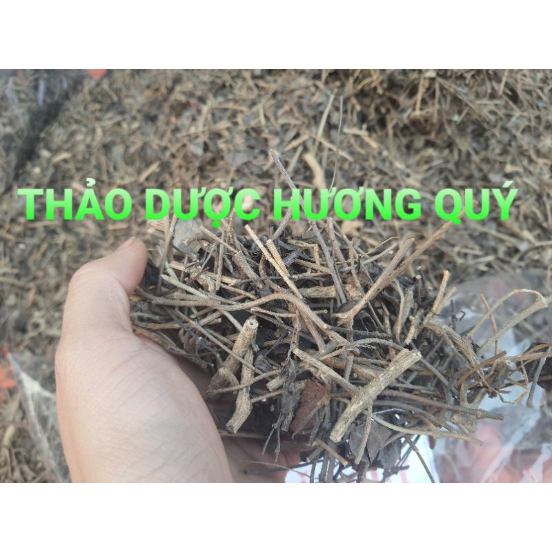 1 KG CÂY MẶT QUỶ KHÔ, SẠCH (TIÊU CHẢY, MẨN NGỨA, MỤN NHỌT)