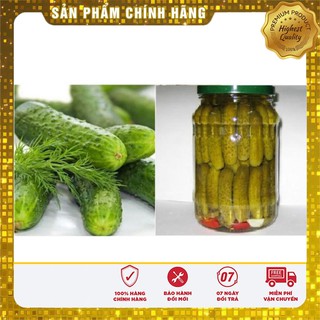Hạt Giống Dưa Leo Bao Tử ( 10 hạt)