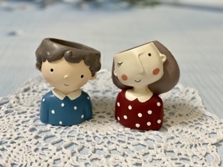 Chậu cây mini