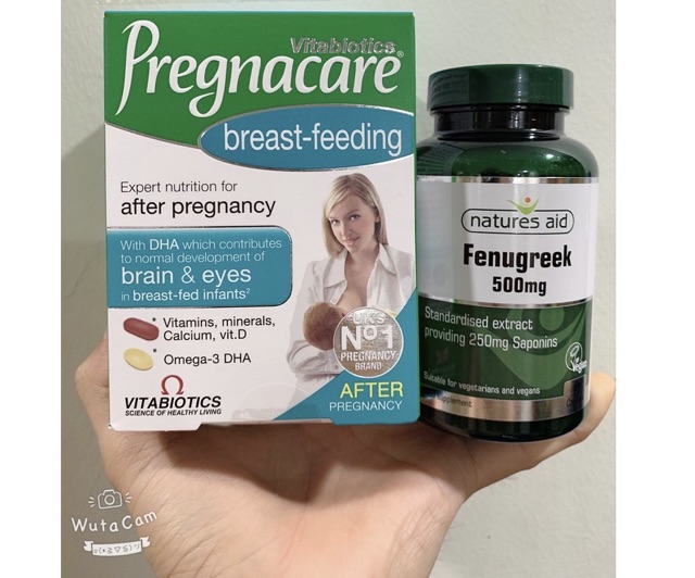 Combo lợi sữa cỏ cà ri Fenugreek và Vitamin bú Anh Pregnacare Breast-feeding