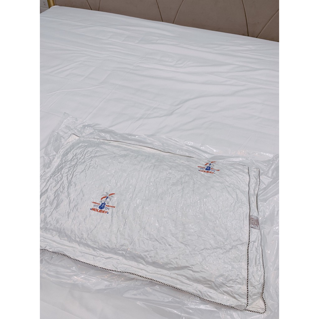 (Hot New) Ruột Gối Lông vũ Micro Đến Từ Thổ Nhĩ Kì, Size 50x70, Nặng 1,8kg