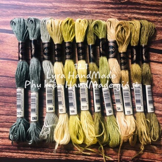 12 tép chỉ màu xanh chuối (mã set 12.1)