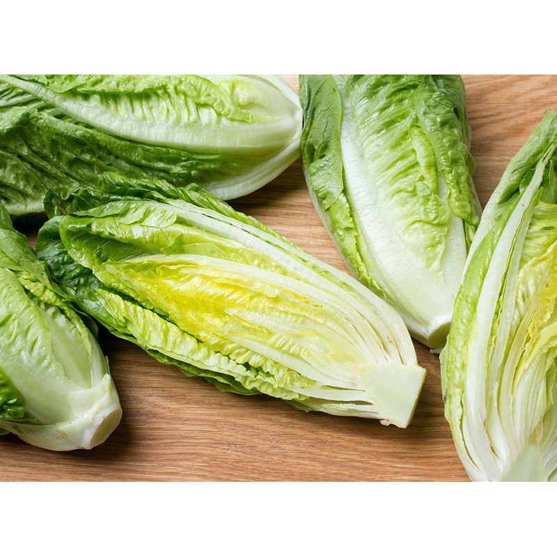 Hạt giống Xà Lách Romaine Xanh