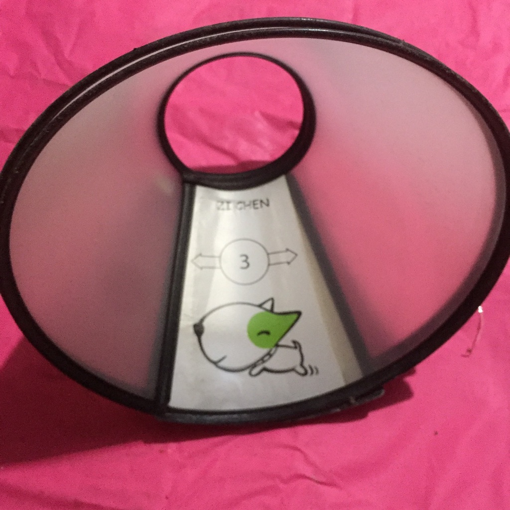 Vòng loa cổ chống liếm chó mèo thú cưng