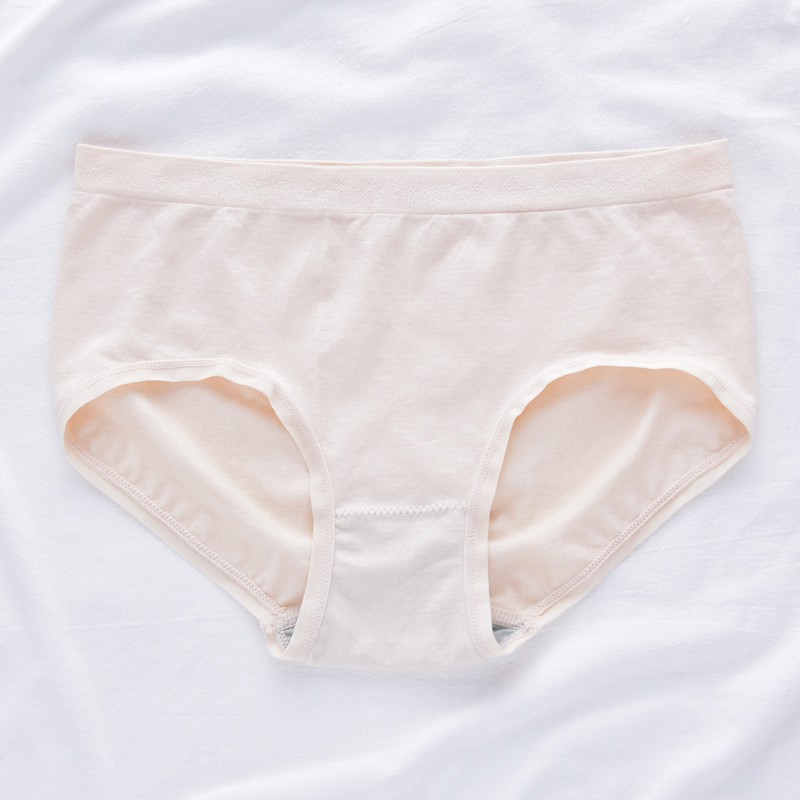 Quần Lót Lưng Vừa Màu Trơn Thời Trang Cho Nữ