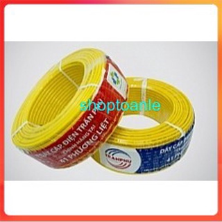Dây điện Trần Phú chính hãng lõi đôi 2x6.0mm