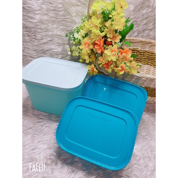 Hộp trữ đông dẻo tupperware gen II