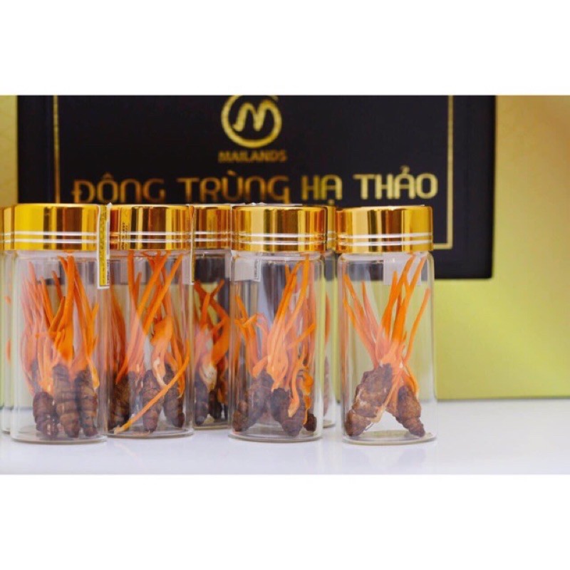 Đông Trùng Hạ Thảo CORDYCEPS KING | BigBuy360 - bigbuy360.vn