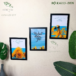 Khung tranh trang trí bộ 3 khung kèm ảnh i hình cỡ 21x30 đẹp, ảnh thật