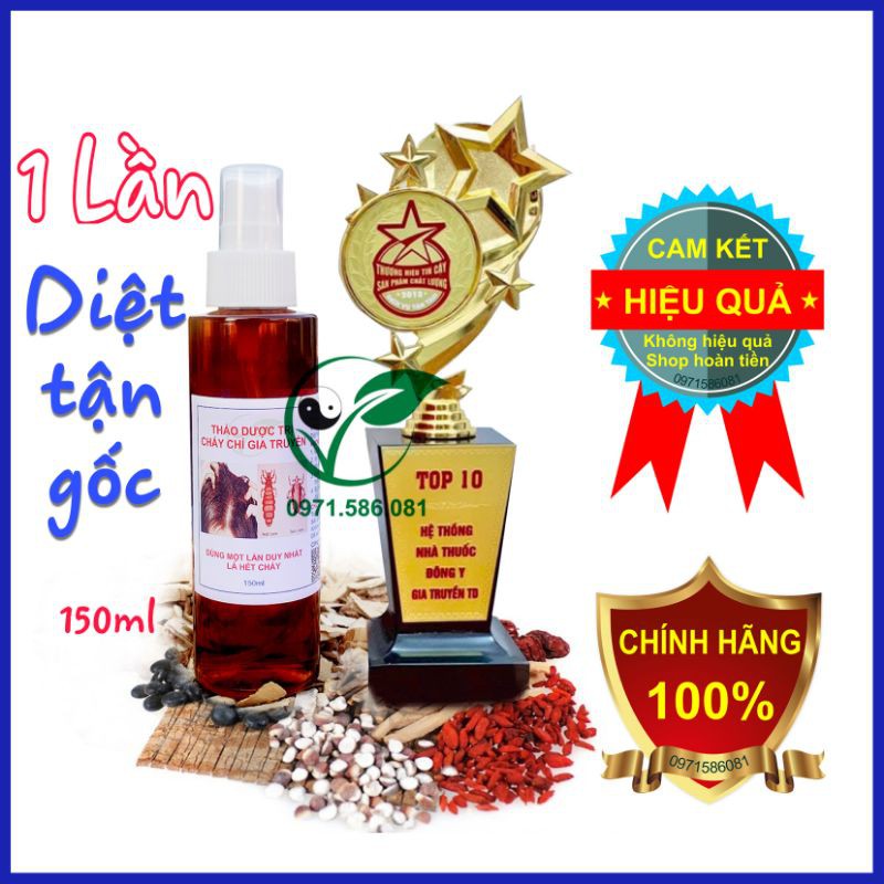 Ủ Chấy Chí Gia Truyền. Hàng công ty. Dầu Gội Diệt Chấy Chí