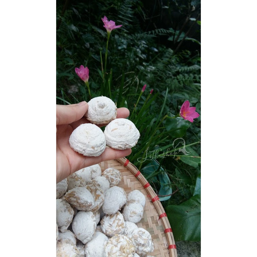 Men thuốc bắc, Men vỏ trấu.[1 viên]