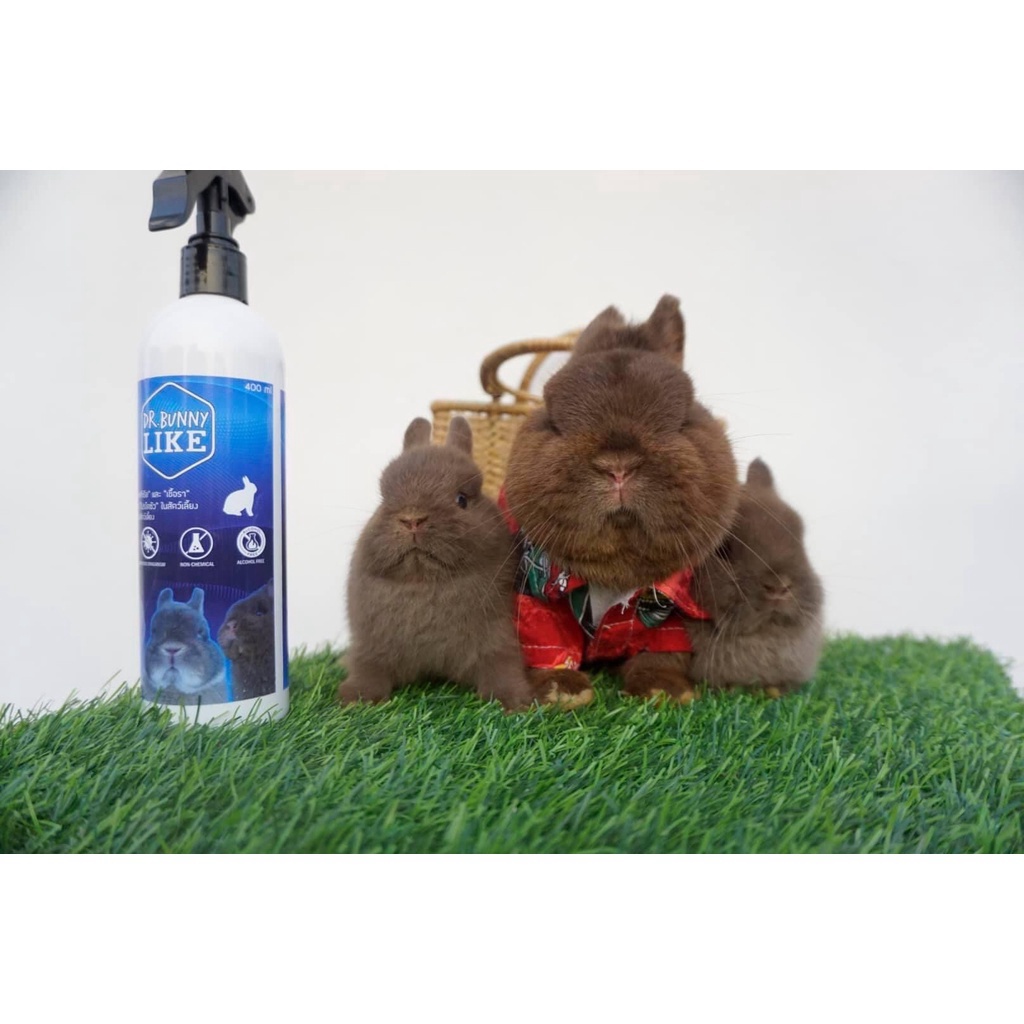 Tắm Khô Thú Cưng Tẩy Ố 🐶 FREE SHIP 🐶 Vệ Sinh Lông Dạng Xịt Phun Thành Phần TỰ NHIÊN Cho Chó Mèo Thỏ , Bọ , Sóc Bắc Mỹ