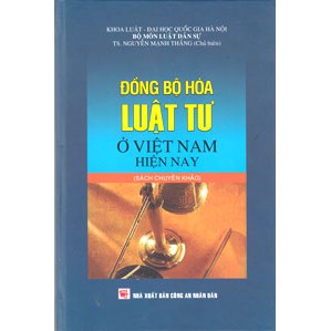[ Sách ] đồng bộ hóa luật tư ở Việt Nam hiện nay