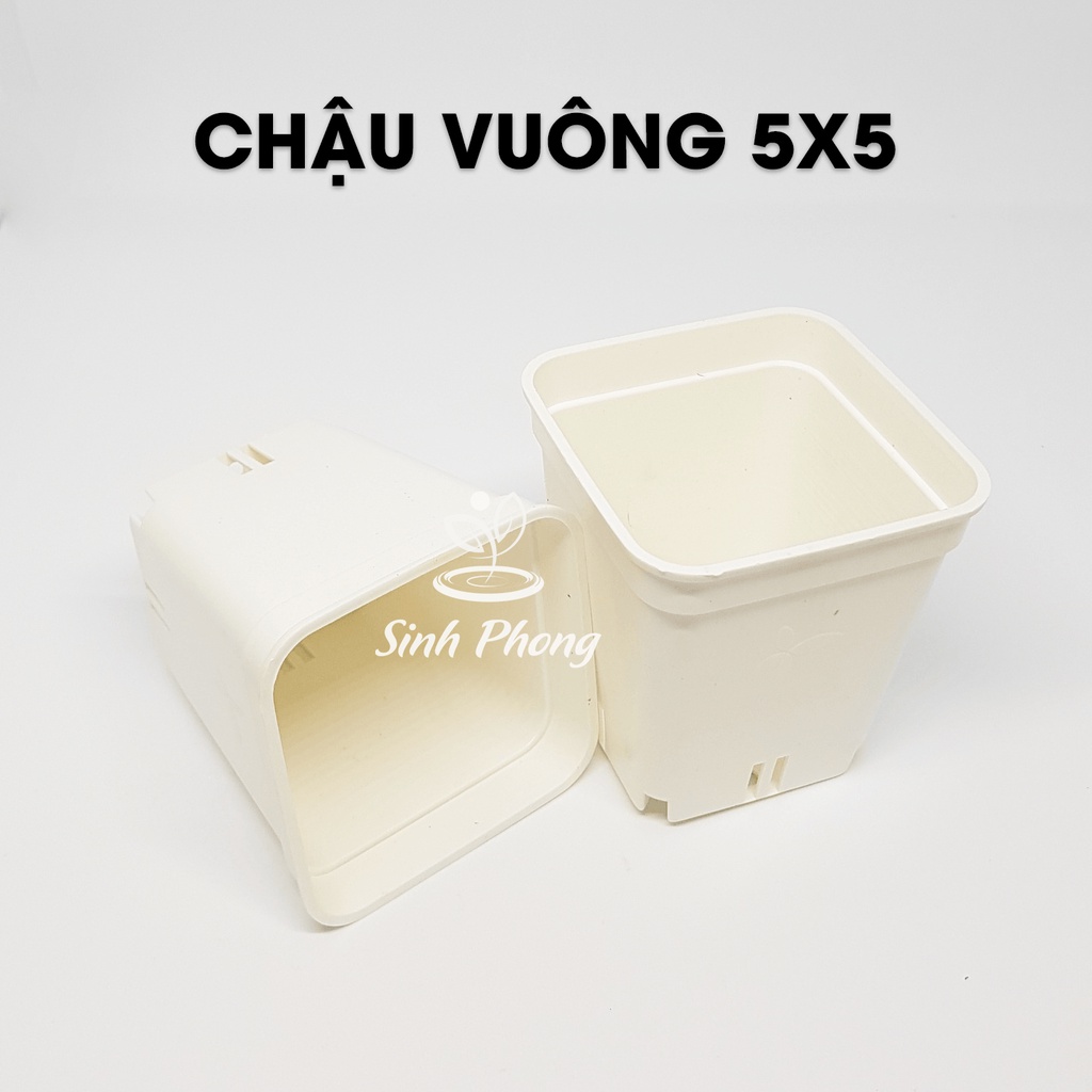Chậu vuông 5x5 màu TRẮNG set 50 cái, sản phẩm bền, dày để trồng sen đá, xương rồng, thủy sinh