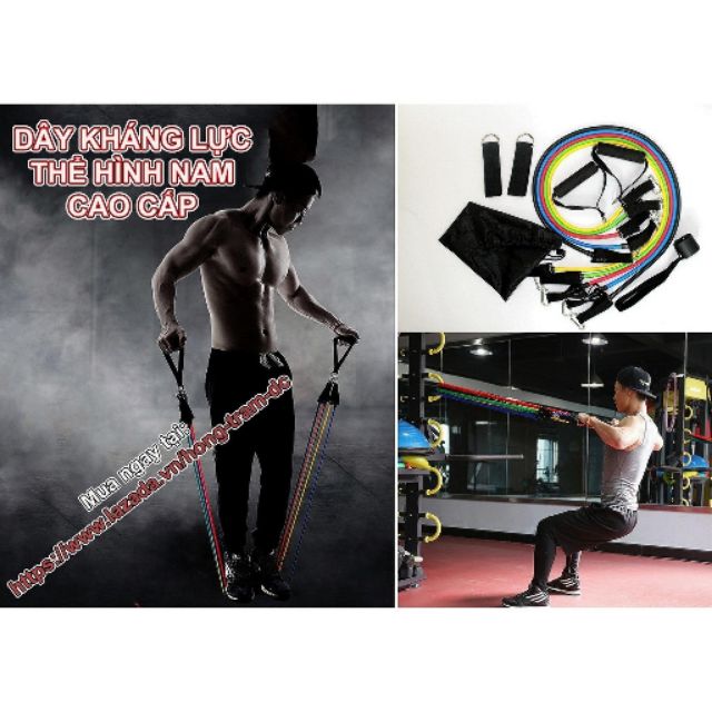 Bộ dây đàn hồi - bộ dây kháng lực tập thể hình cao cấp 11 món tập gym giá tốt