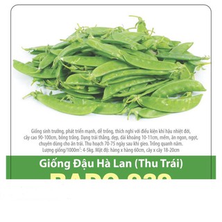 Hạt Giống Đậu Hà Lan (Thu Trái) Năng Suất Cao 20gr